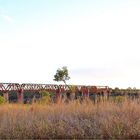 *** Mosquito Defence / Burdekin River Qld.