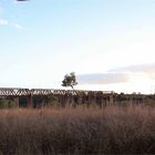 * Mosquito Defence / Burdekin River Qld. *