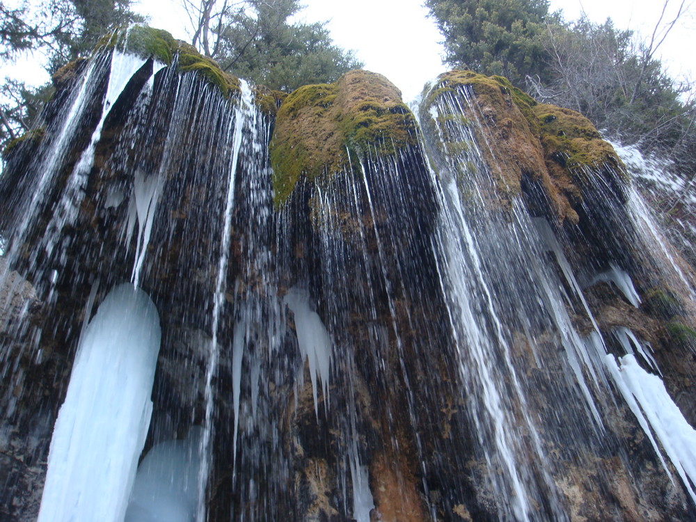 moss and a half frozen waterfall
