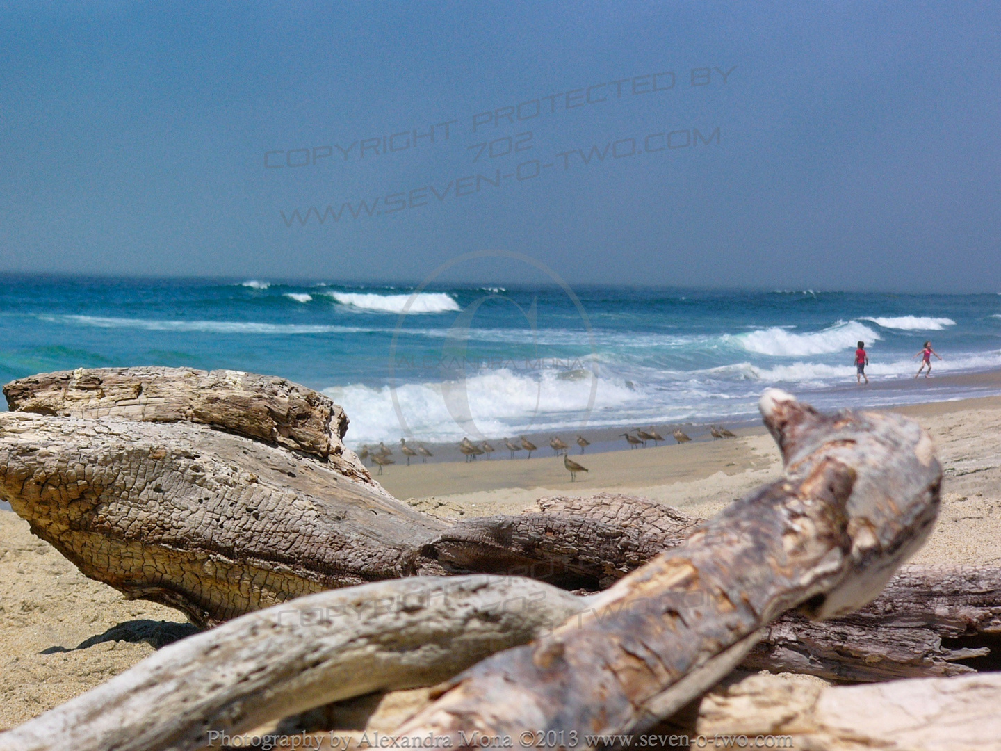 Moss Landing