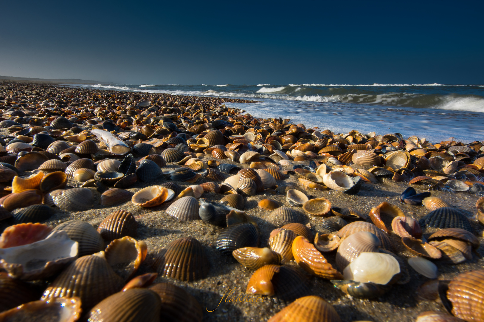 Mosselen Foto & Bild blanker hans, meer, strand Bilder auf