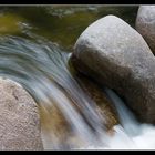 ~Mossman Gorge~