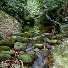 Mossman Gorge