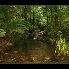 Mossman Gorge