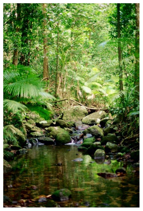 Mossman Gorge