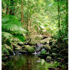 Mossman Gorge