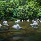 mossmann gorge...