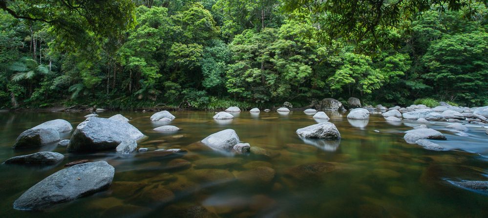 mossmann gorge...