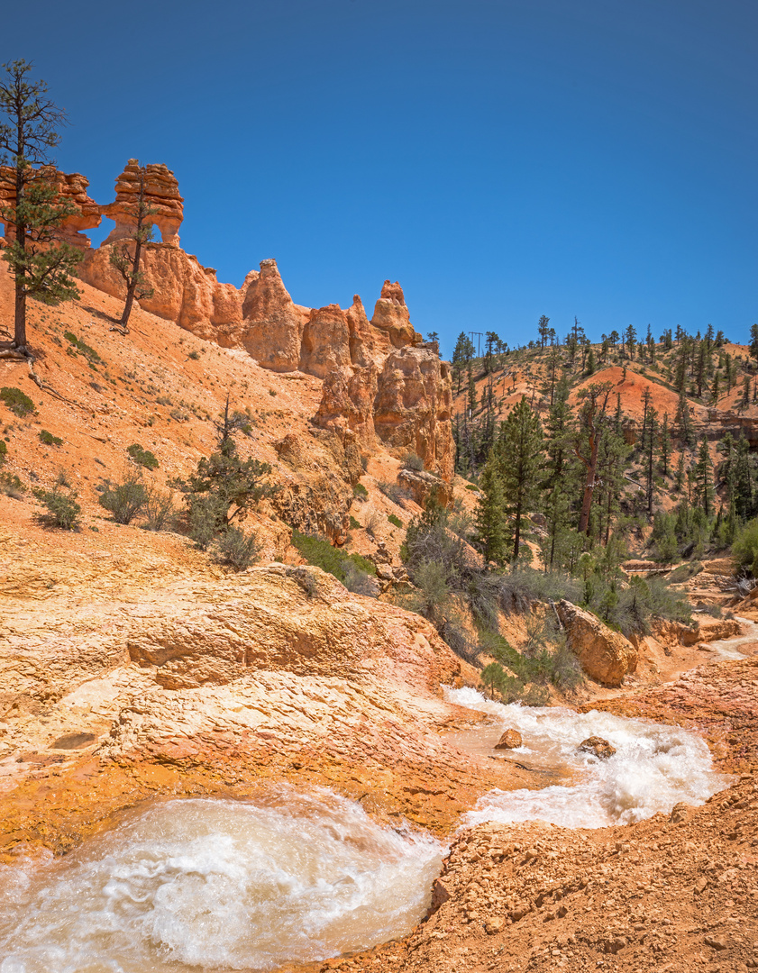 Mossy Cave Trail