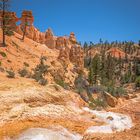 Mossy Cave Trail