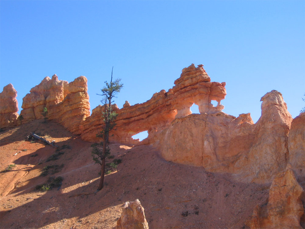 Mossy Cave Trail