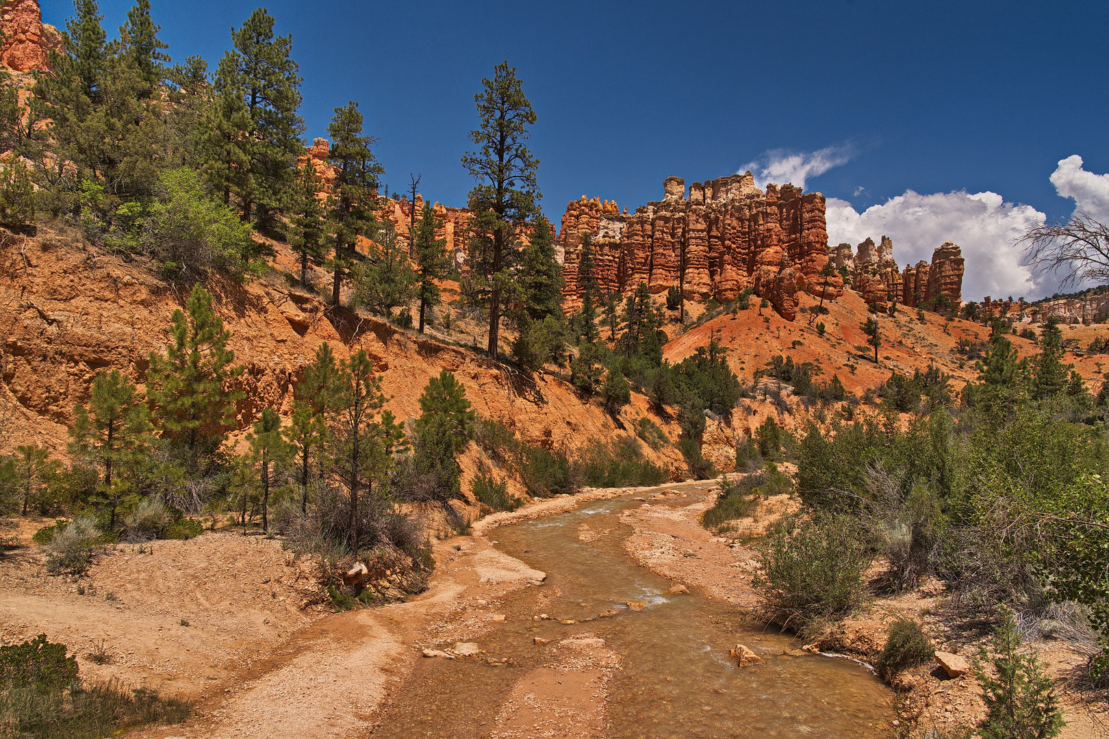 Mossy Cave Trail