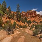 Mossy Cave Trail