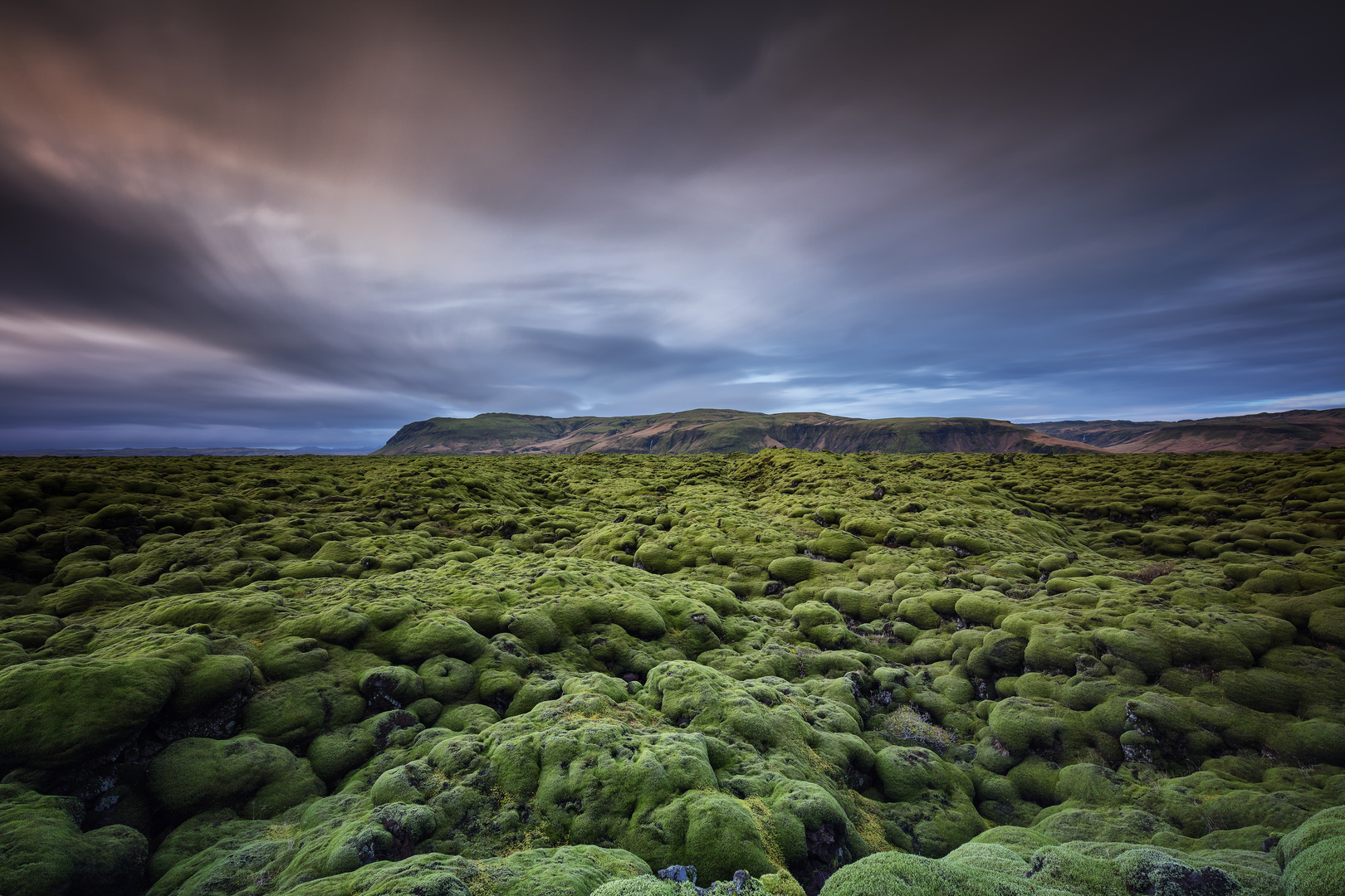 [mossy fields...]