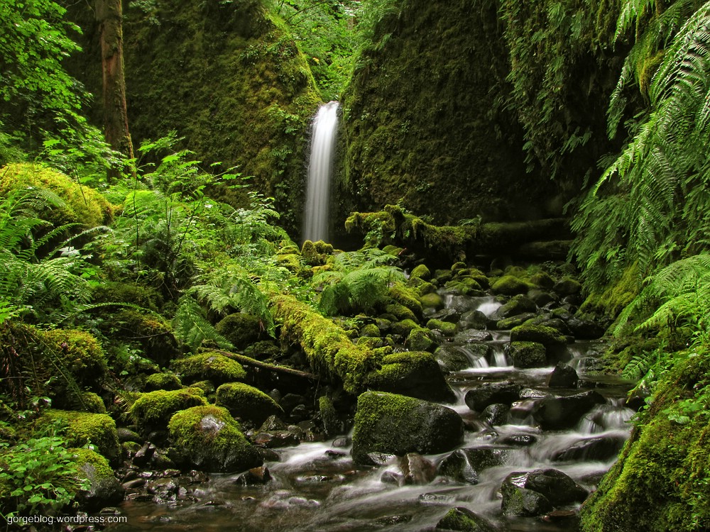 Mossy Grotto Falls