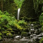 Mossy Grotto Falls