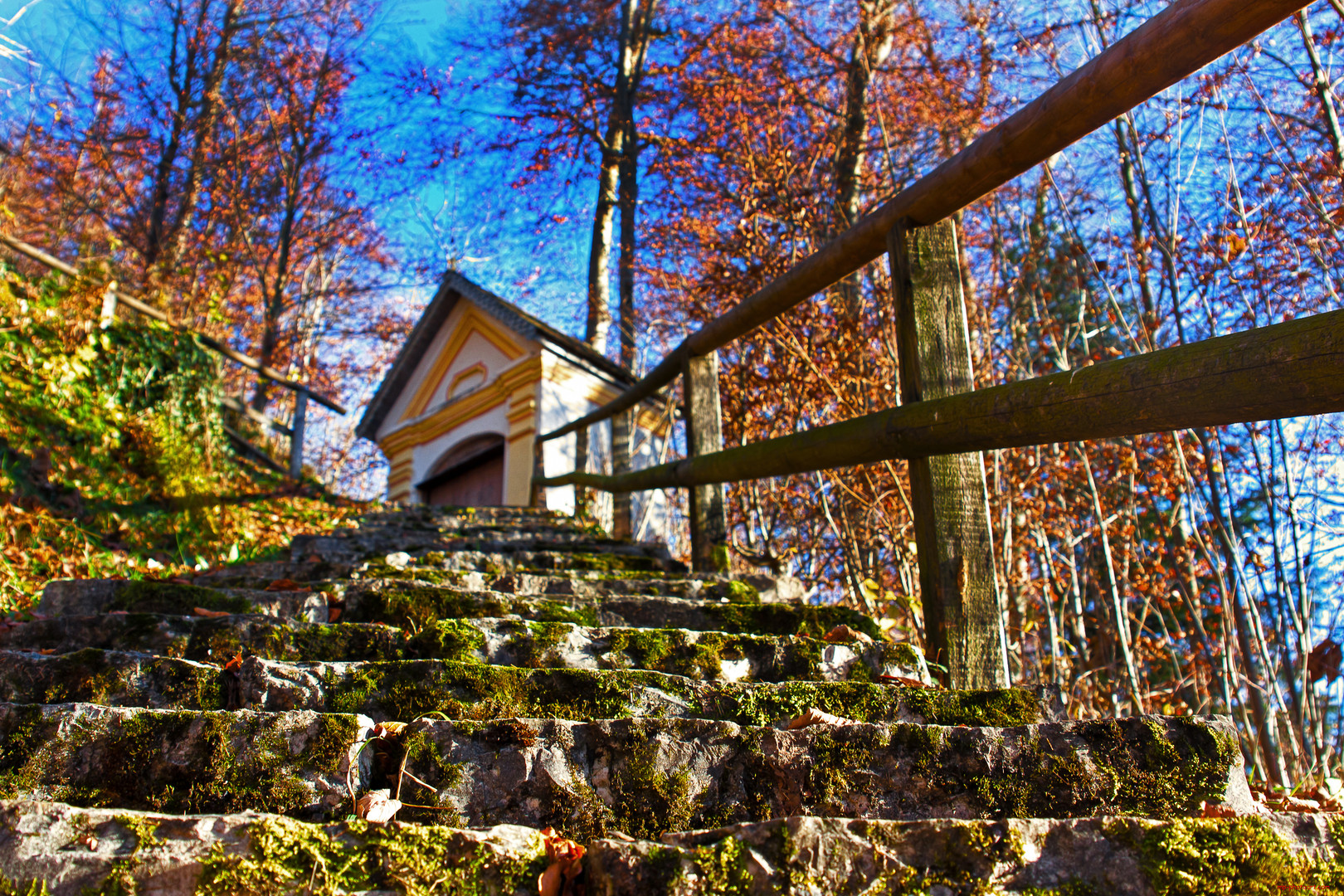 Mossy Stairs