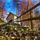 Mossy Stairs