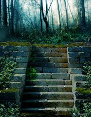 Mossy stairs