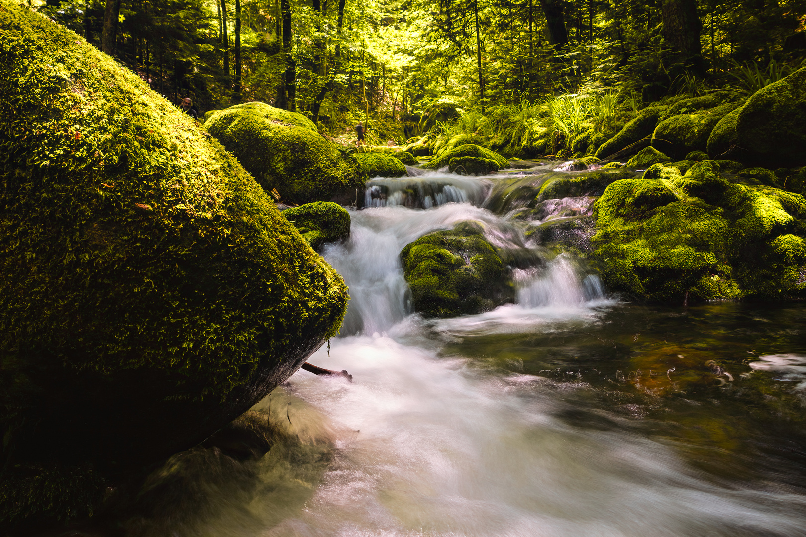 mossy stones and wild water