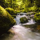 mossy stones and wild water