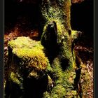 Mossy Stump