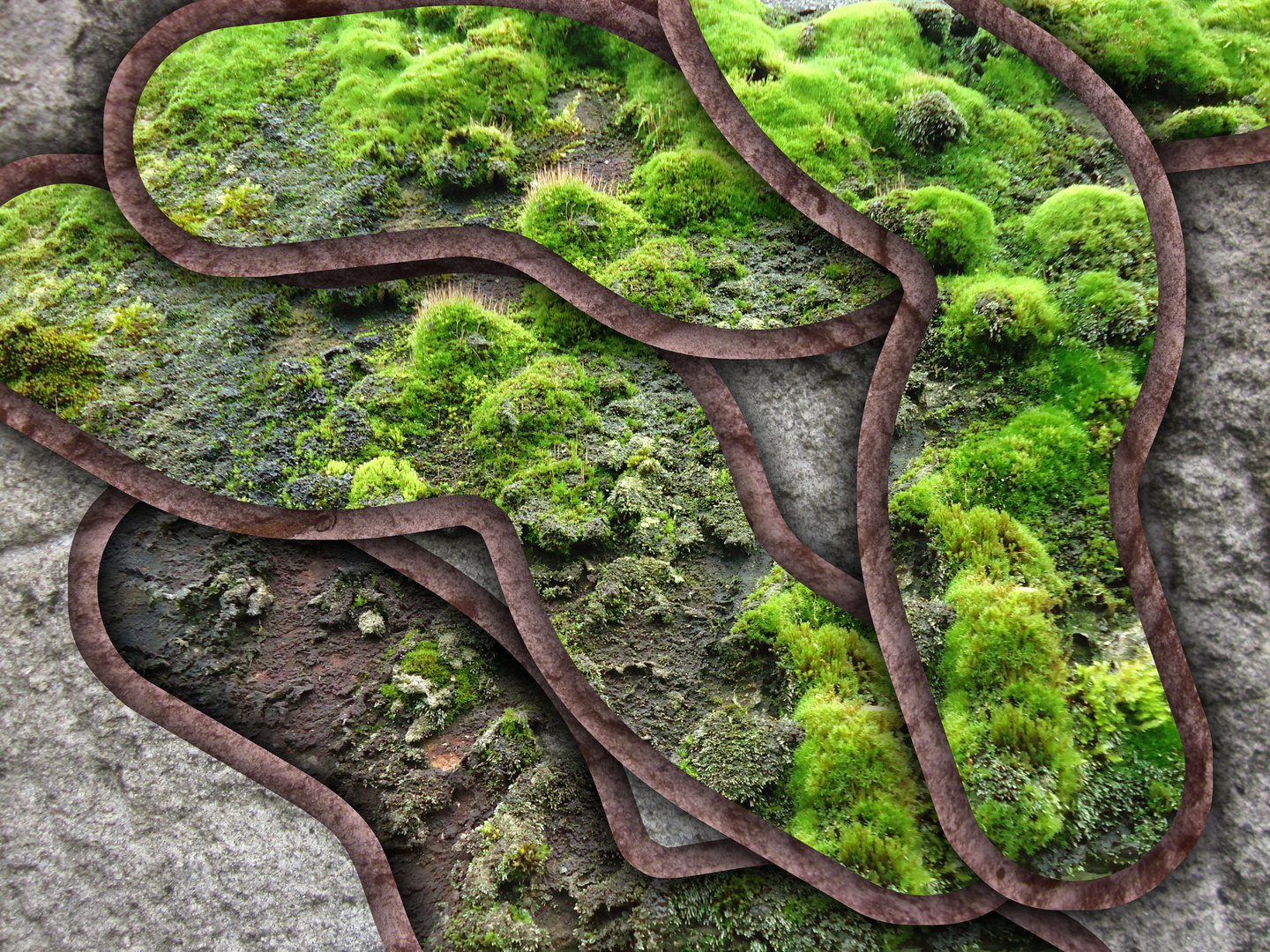 Mossy System