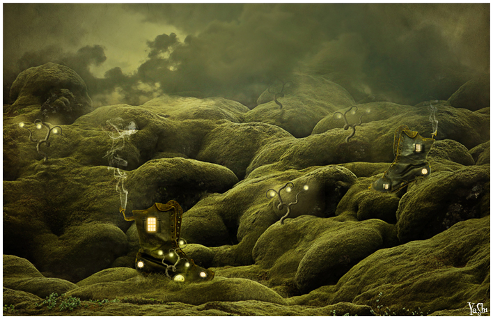 mossy valley