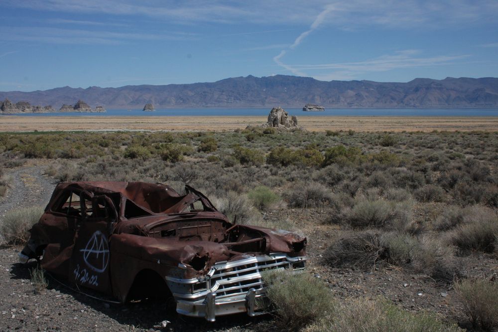 "MOST BEAUTIFUL JUNKYARD"