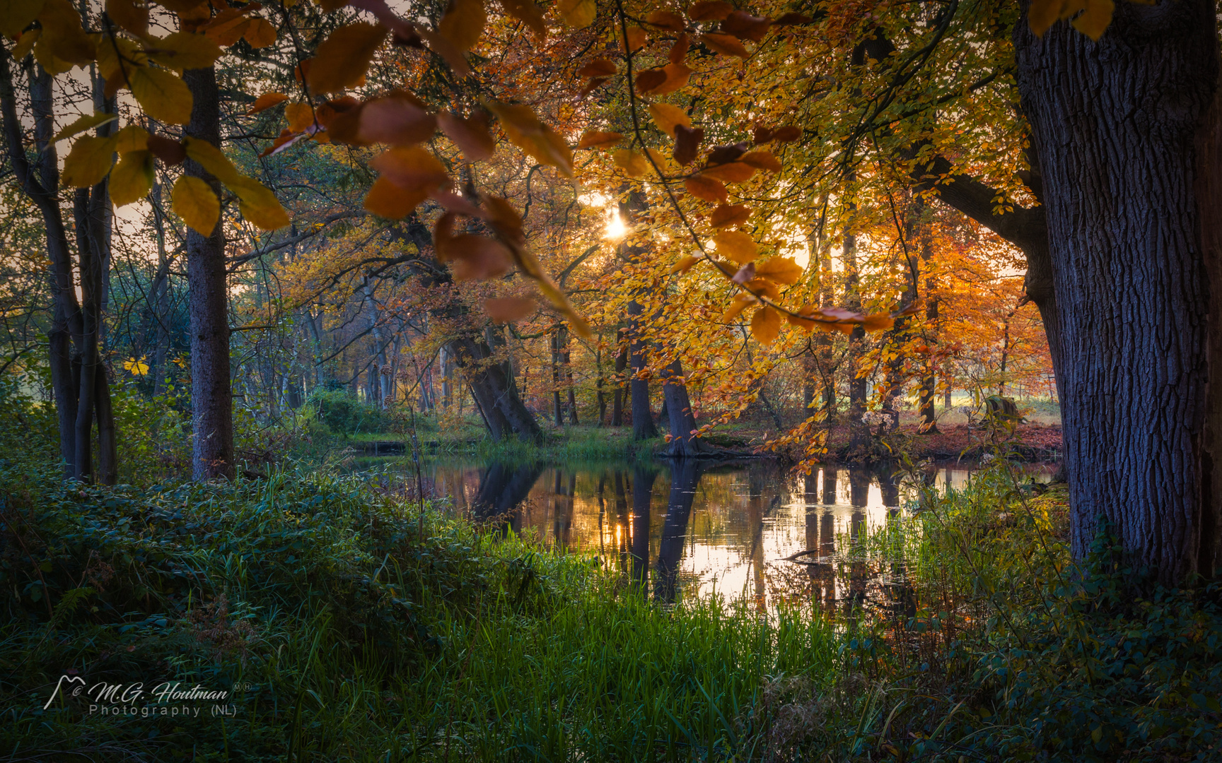 Most beautiful time of the year in nature