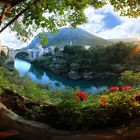 Mostar