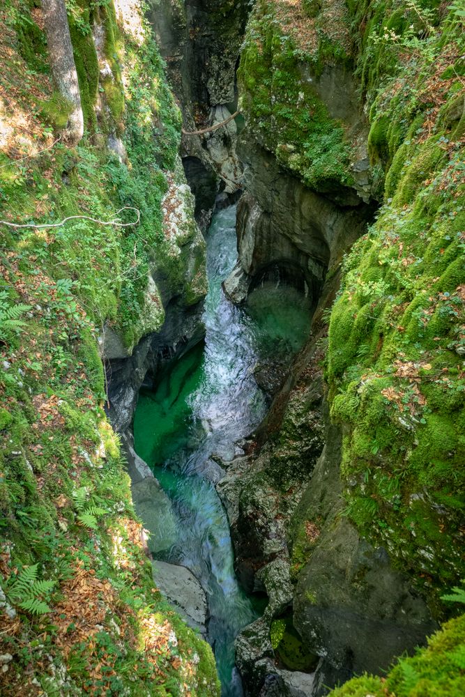 Mostnica Schlucht