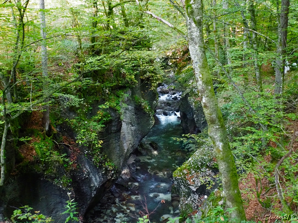 Mostnica- Schlucht