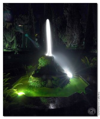 Mostra collettiva "Il colore della notte a Villa d'Este" - 9.