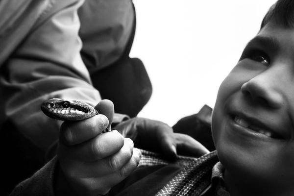 Mostra collettiva Menghi-Orsini-Pavone "I serpari di Cocullo" - 16.