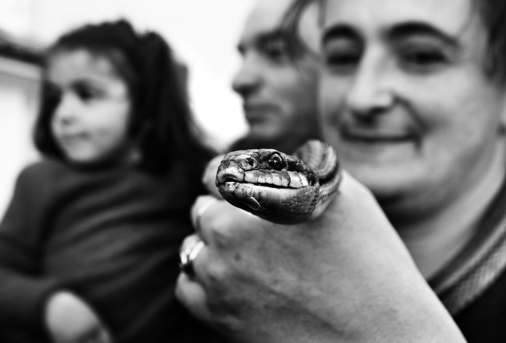 Mostra collettiva Menghi-Orsini-Pavone "I serpari di Cocullo" - 2.