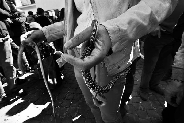 Mostra collettiva Menghi-Orsini-Pavone "I serpari di Cocullo" - 3.