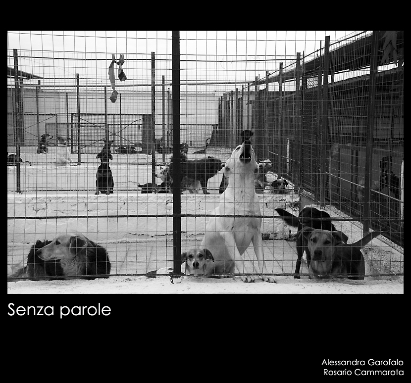 Mostra collettiva "Senza parole" -