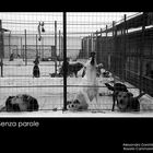 Mostra collettiva "Senza parole" -