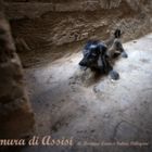 Mostra collettiva: "Tra le mura di Assisi" - 1.