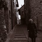 Mostra collettiva: "Tra le mura di Assisi" - 15. La strada verso casa