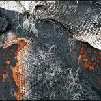 Mostra online di Biagio Donati "Burned textures" - 5.