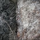 Mostra online di Biagio Donati "Burned textures" - 6.