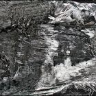 Mostra online di Biagio Donati "Burned textures" - 7.