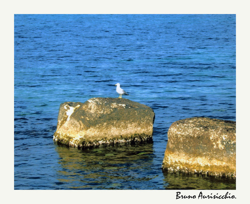 Mostra online di Bruno Aurisicchio: "Il mare" - 5. In posa sull'azzurro del mare