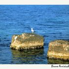 Mostra online di Bruno Aurisicchio: "Il mare" - 5. In posa sull'azzurro del mare