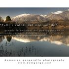 Mostra online di Domenico Gargarella "Tutti i colori del mio mondo"