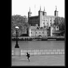 Mostra online di Fabio Batocchi "Flying across London" - 2