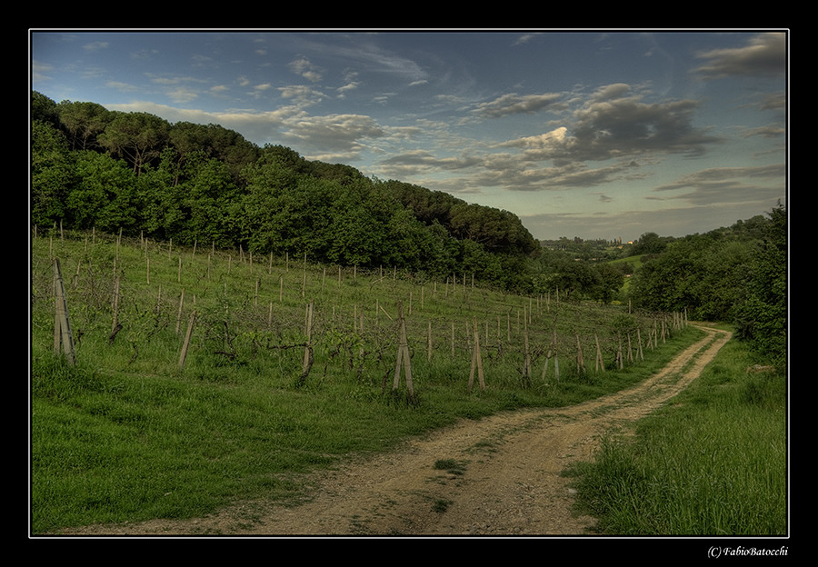 Mostra online di Fabio Batocchi "HDR... un tocco di magia" - 7.