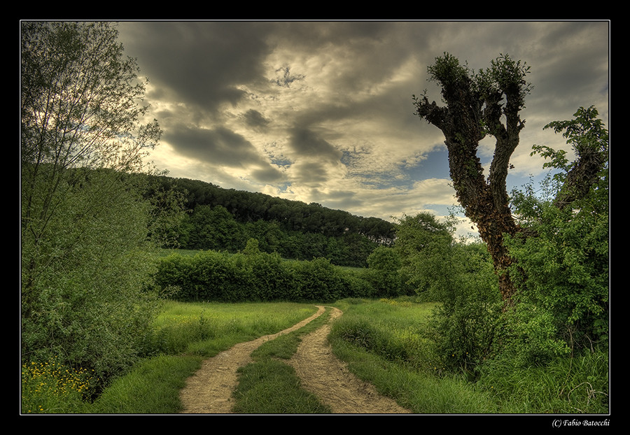 Mostra online di Fabio Batocchi "HDR... un tocco di magia" - 8.